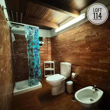 Loft-114 公寓 圣克鲁斯-德特内里费